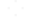 VOLARIS